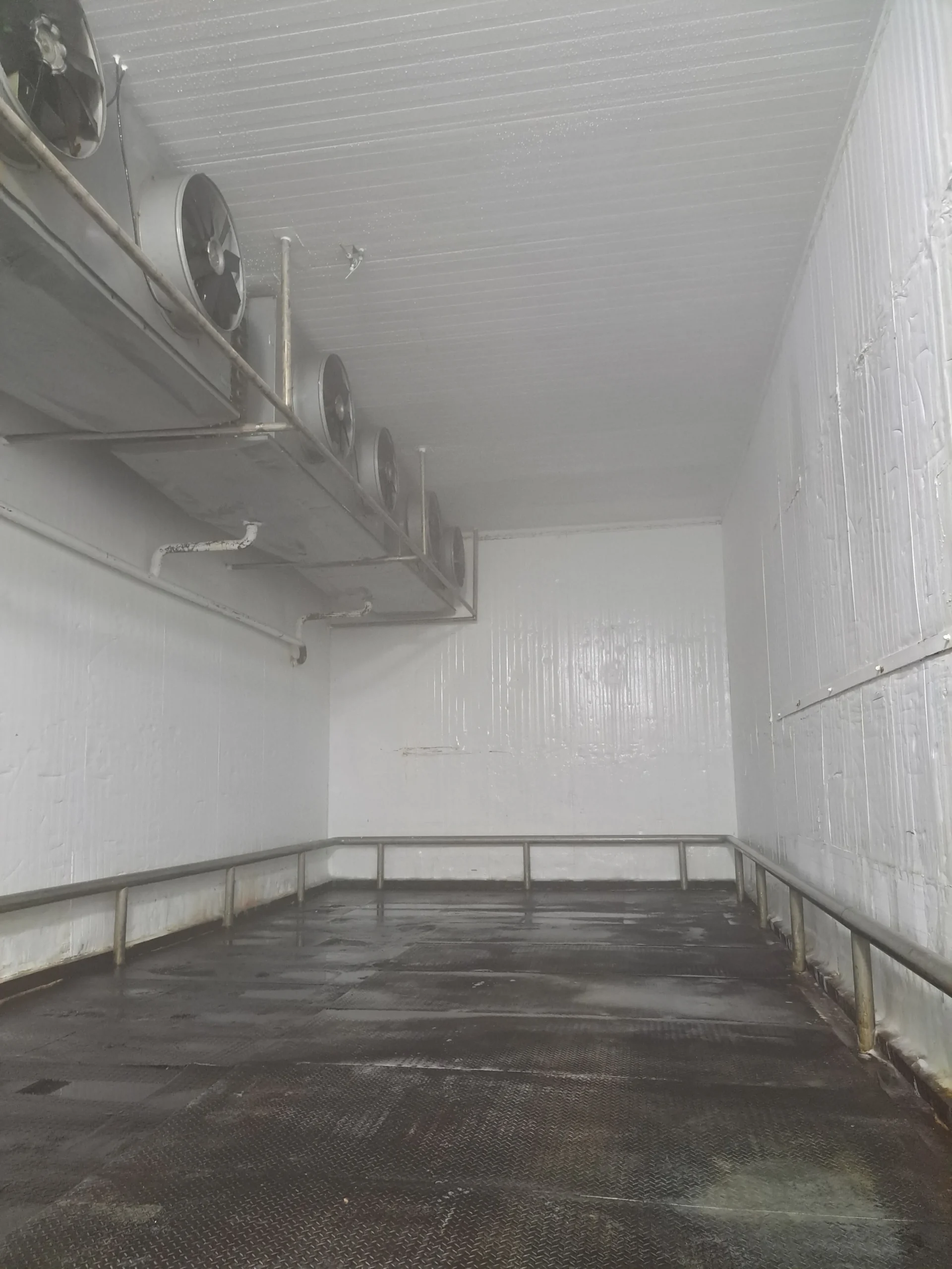 Revestimento industrial aplicado em frigorífico